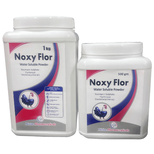 Noxy Flor veterinary product 500 g and 1 kg packs
