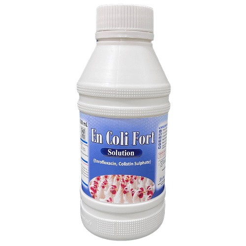 En Coli Fort veterinary product 500 mL bottle
