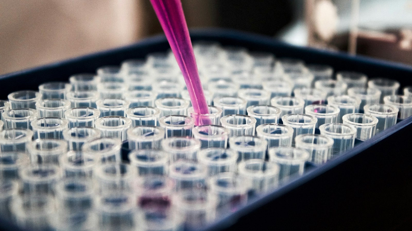 Pipette dispensing sample liquid into laboratory vials