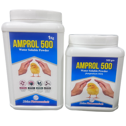 Amprol 500 water-soluble powder pack sizes from Divine Pharmaceuticals