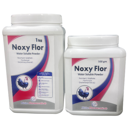 Noxy Flor water-soluble powder pack family from Divine Pharmaceuticals
